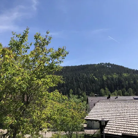 Apartamento Ferienwohnung Am Sonnenhang